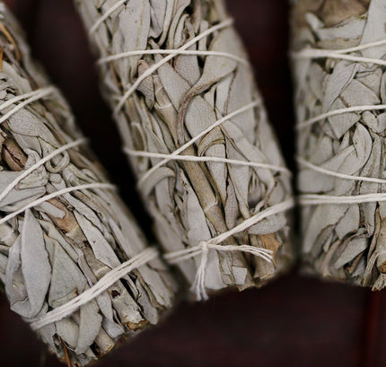 Collection image for: Kräuter, Hölzer & Harze