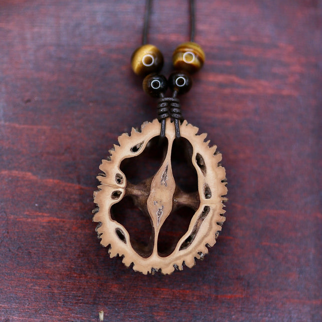 Schwarznuss Scheibe – Tigerauge