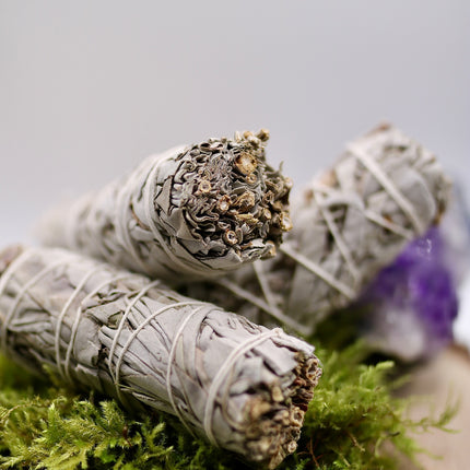 Weißer Salbei Smudge Stick