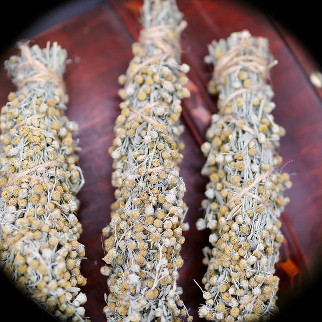 Wermut Smudge Stick - aus eigenem Anbau